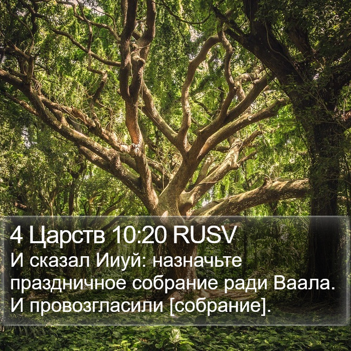 4 Царств 10:20 RUSV Bible Study