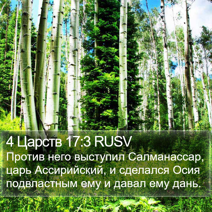 4 Царств 17:3 RUSV Bible Study