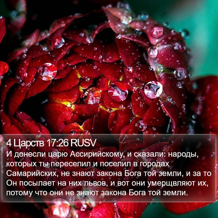 4 Царств 17:26 RUSV Bible Study