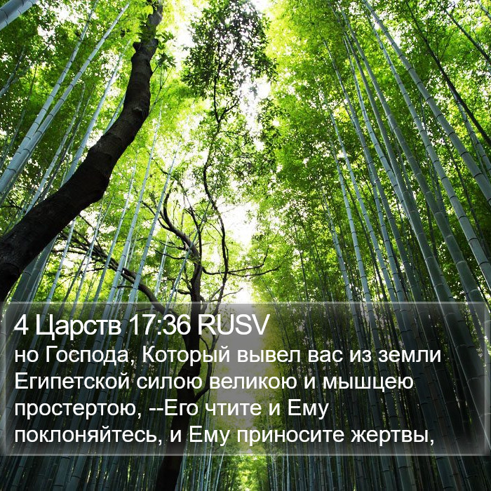 4 Царств 17:36 RUSV Bible Study