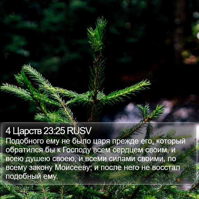 4 Царств 23:25 RUSV Bible Study