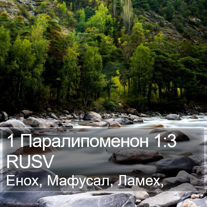 1 Паралипоменон 1:3 RUSV Bible Study