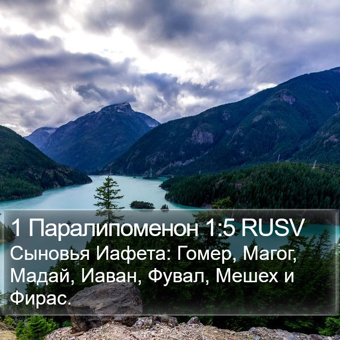 1 Паралипоменон 1:5 RUSV Bible Study