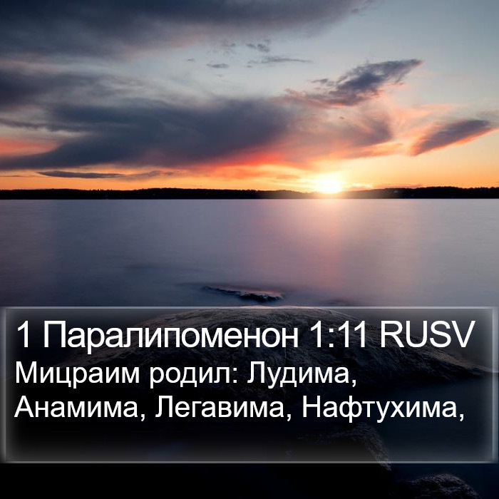 1 Паралипоменон 1:11 RUSV Bible Study