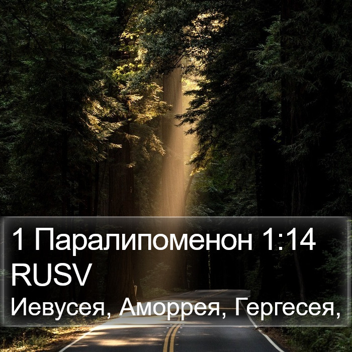 1 Паралипоменон 1:14 RUSV Bible Study