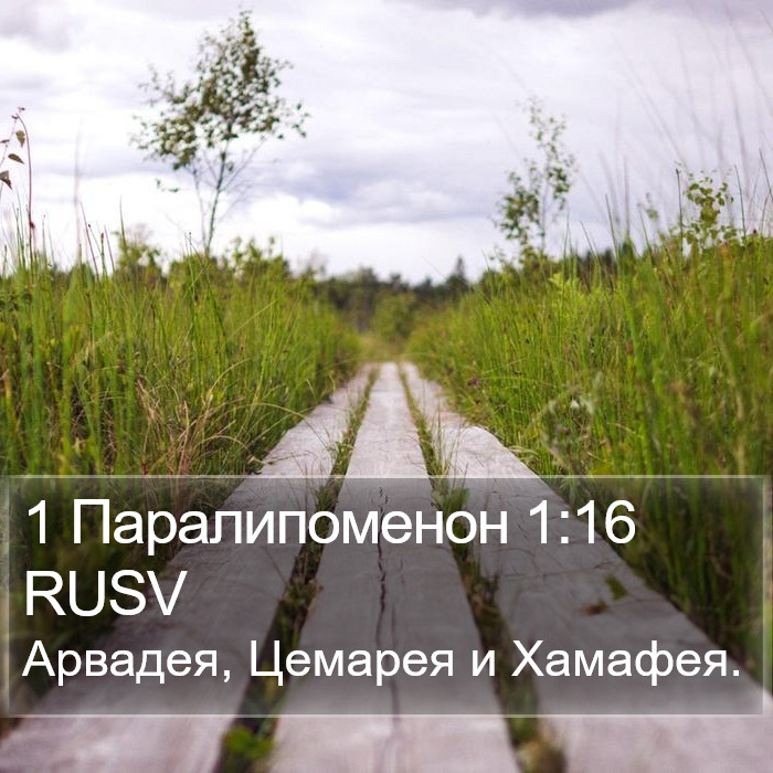 1 Паралипоменон 1:16 RUSV Bible Study