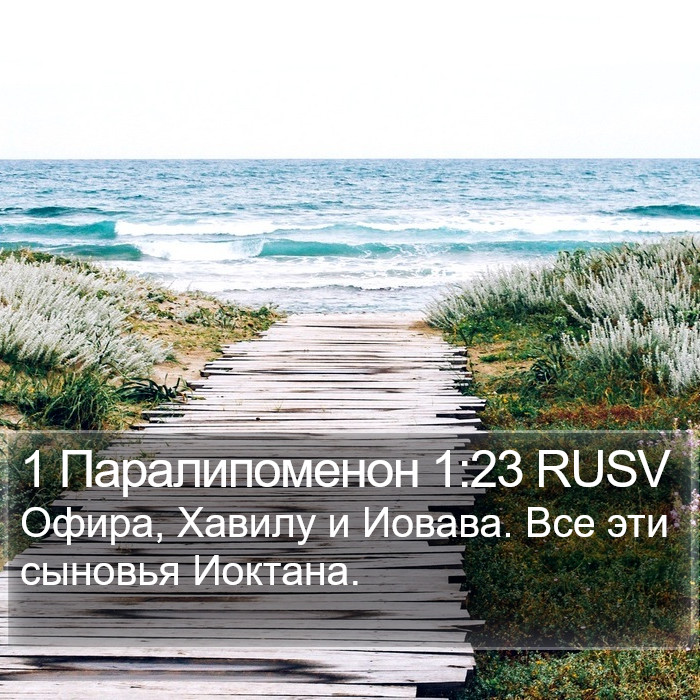 1 Паралипоменон 1:23 RUSV Bible Study