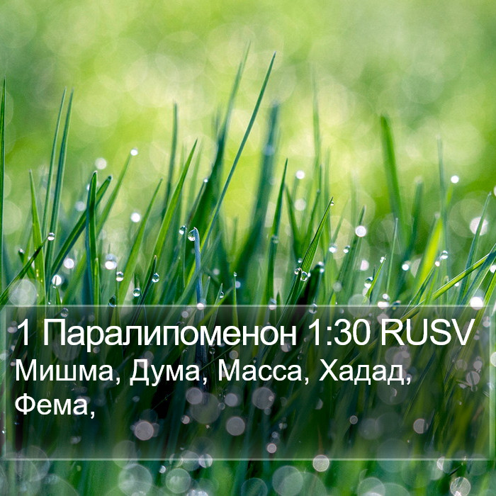 1 Паралипоменон 1:30 RUSV Bible Study