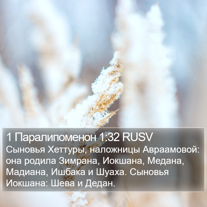 1 Паралипоменон 1:32 RUSV Bible Study