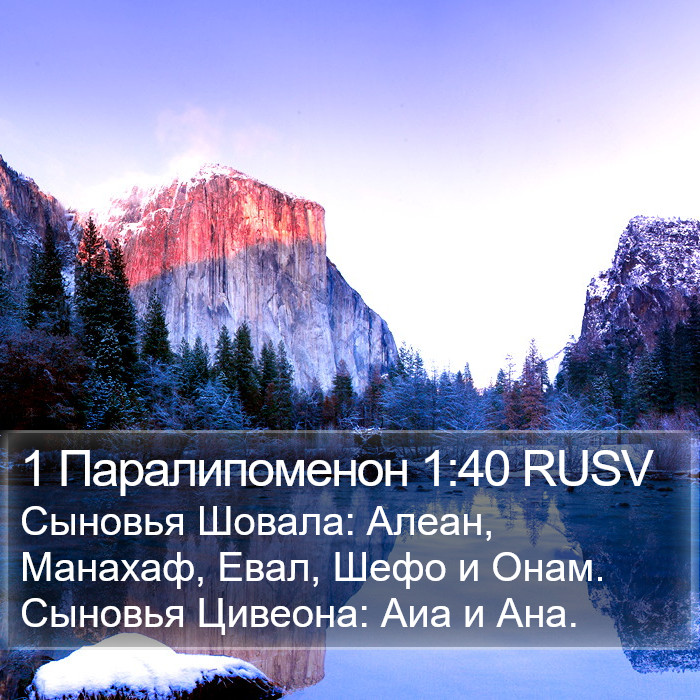 1 Паралипоменон 1:40 RUSV Bible Study