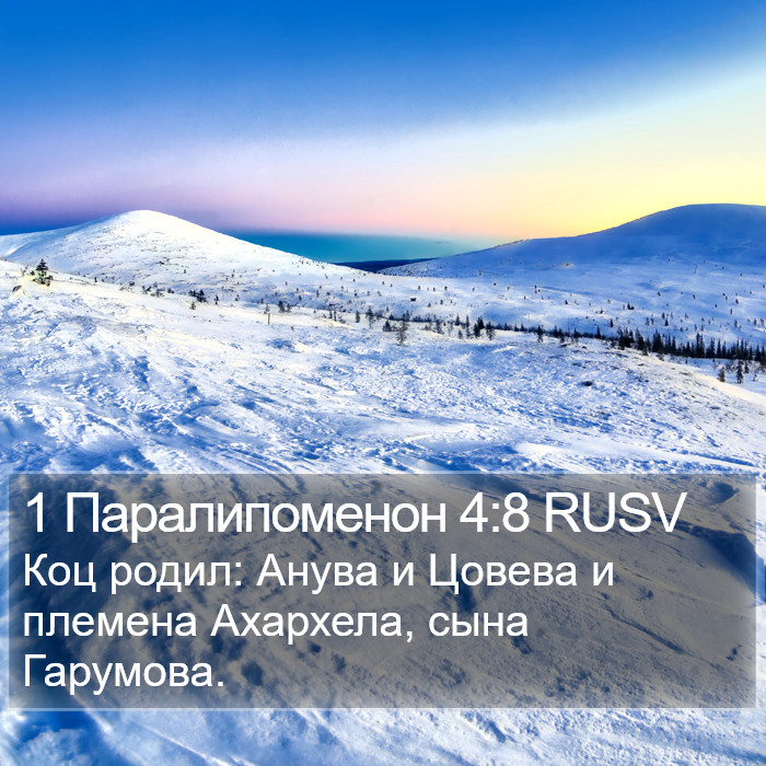 1 Паралипоменон 4:8 RUSV Bible Study