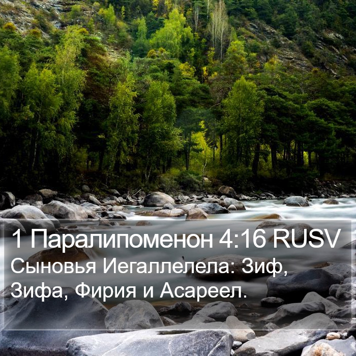 1 Паралипоменон 4:16 RUSV Bible Study