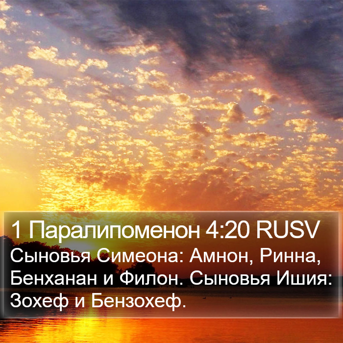 1 Паралипоменон 4:20 RUSV Bible Study