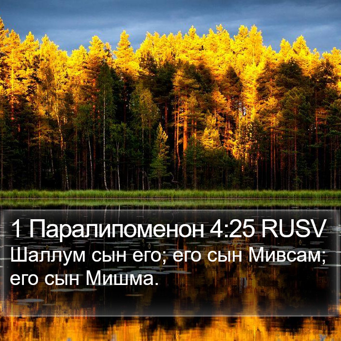 1 Паралипоменон 4:25 RUSV Bible Study