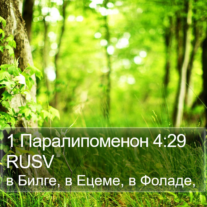 1 Паралипоменон 4:29 RUSV Bible Study