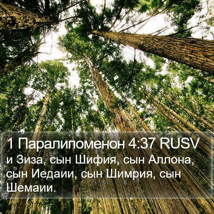 1 Паралипоменон 4:37 RUSV Bible Study