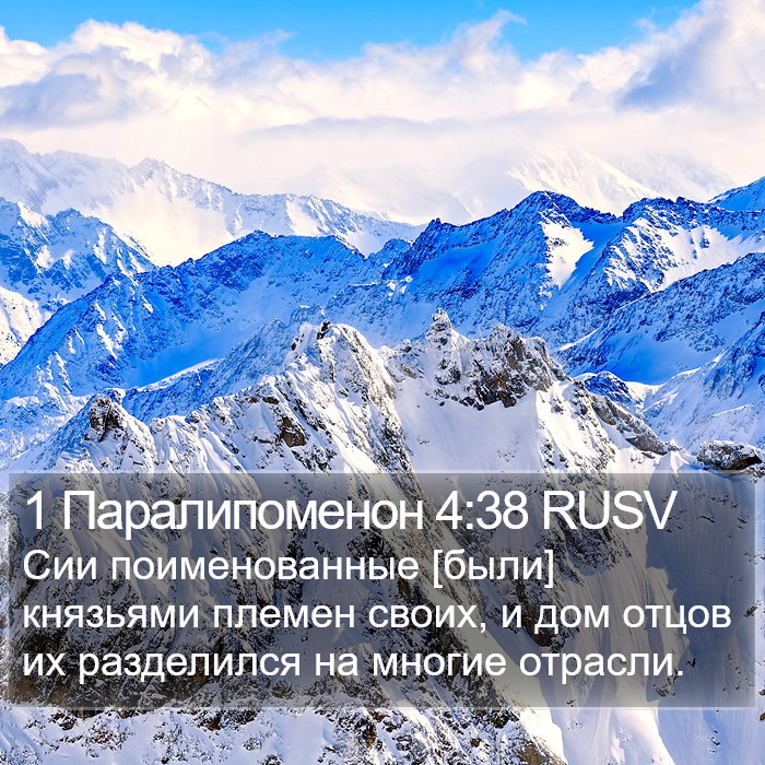 1 Паралипоменон 4:38 RUSV Bible Study