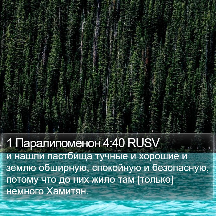 1 Паралипоменон 4:40 RUSV Bible Study