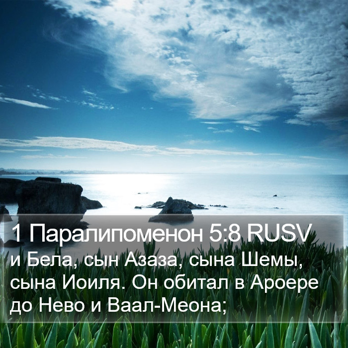 1 Паралипоменон 5:8 RUSV Bible Study