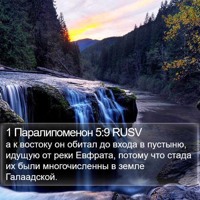 1 Паралипоменон 5:9 RUSV Bible Study