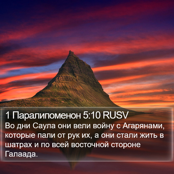1 Паралипоменон 5:10 RUSV Bible Study