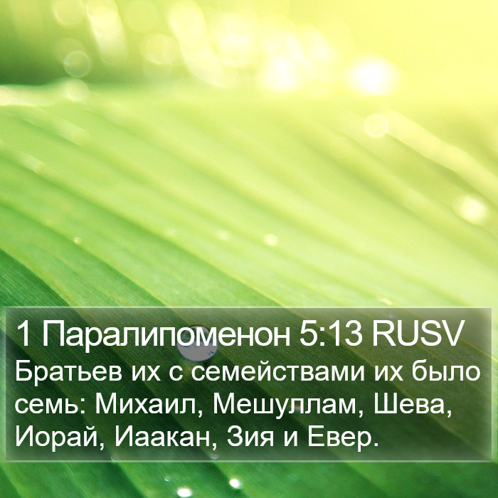 1 Паралипоменон 5:13 RUSV Bible Study