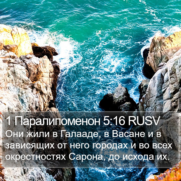 1 Паралипоменон 5:16 RUSV Bible Study