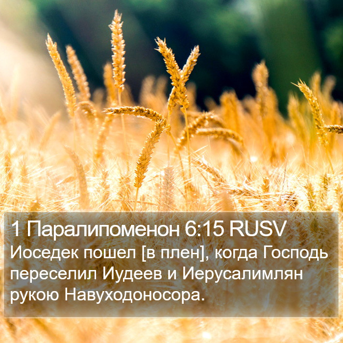 1 Паралипоменон 6:15 RUSV Bible Study