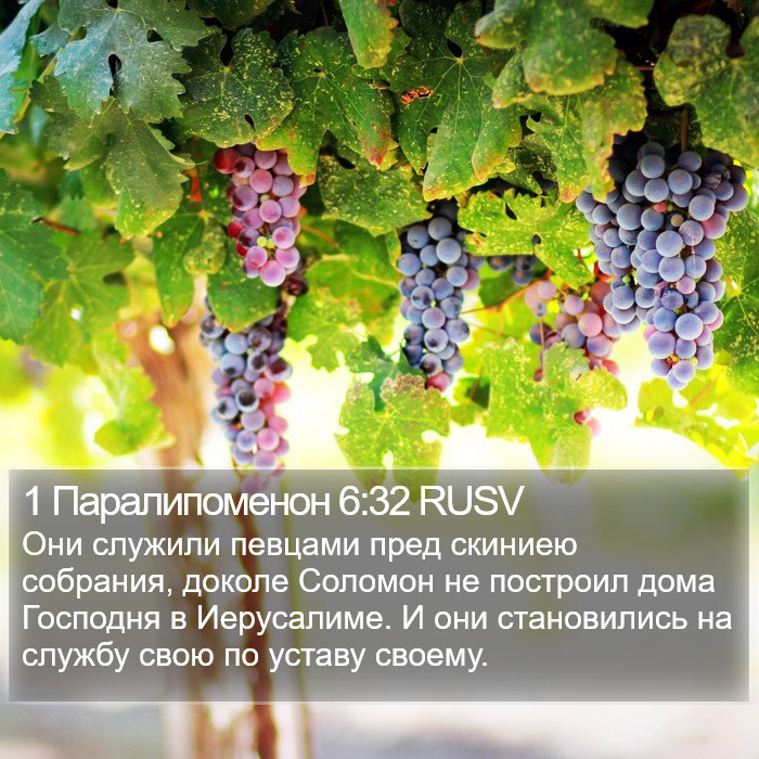 1 Паралипоменон 6:32 RUSV Bible Study
