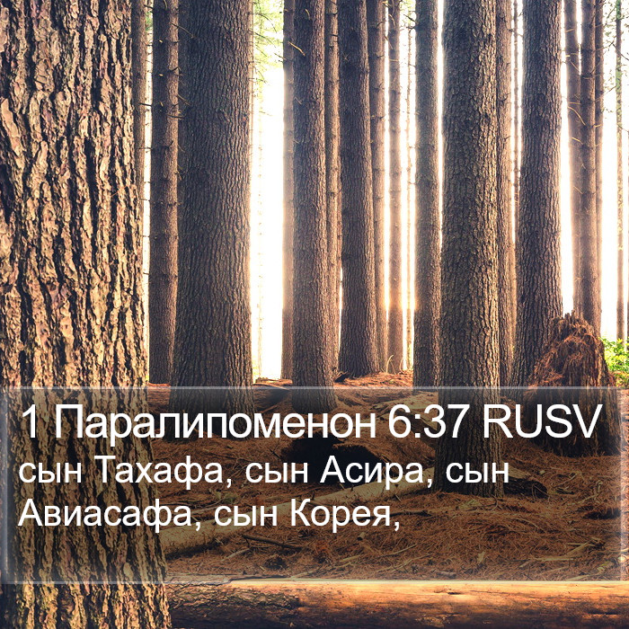 1 Паралипоменон 6:37 RUSV Bible Study
