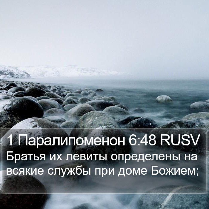 1 Паралипоменон 6:48 RUSV Bible Study