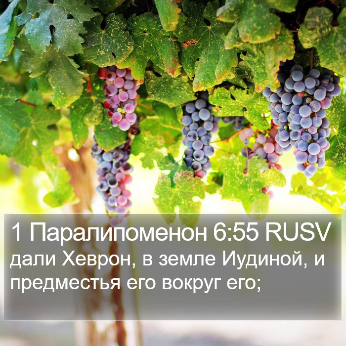 1 Паралипоменон 6:55 RUSV Bible Study