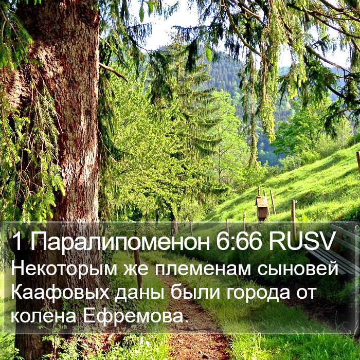 1 Паралипоменон 6:66 RUSV Bible Study