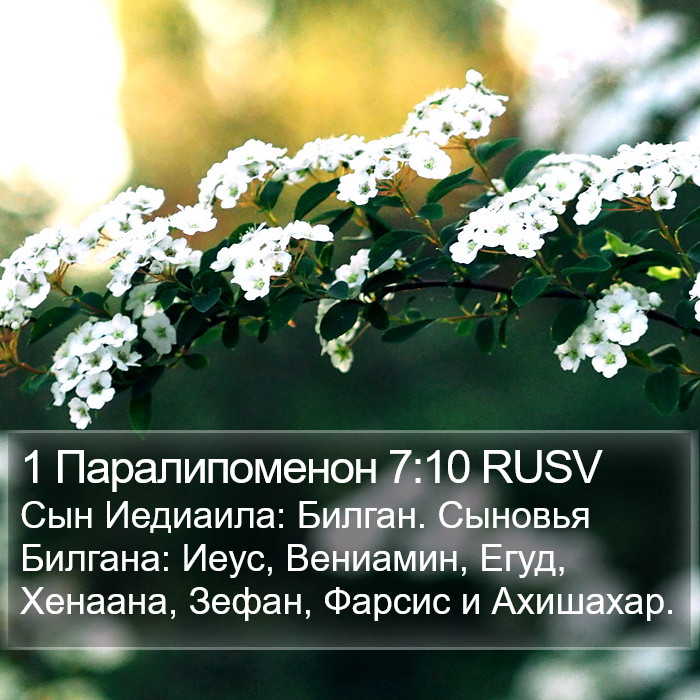 1 Паралипоменон 7:10 RUSV Bible Study