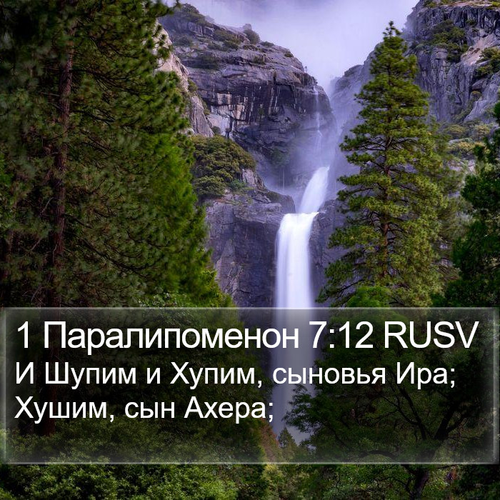 1 Паралипоменон 7:12 RUSV Bible Study