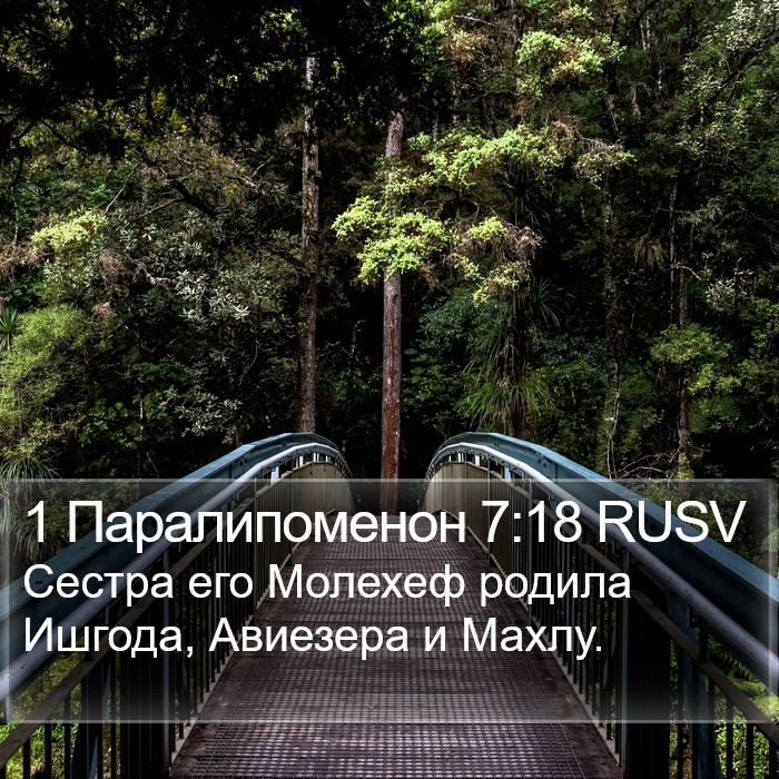 1 Паралипоменон 7:18 RUSV Bible Study