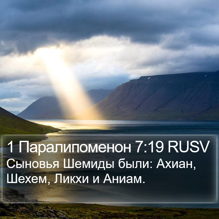 1 Паралипоменон 7:19 RUSV Bible Study