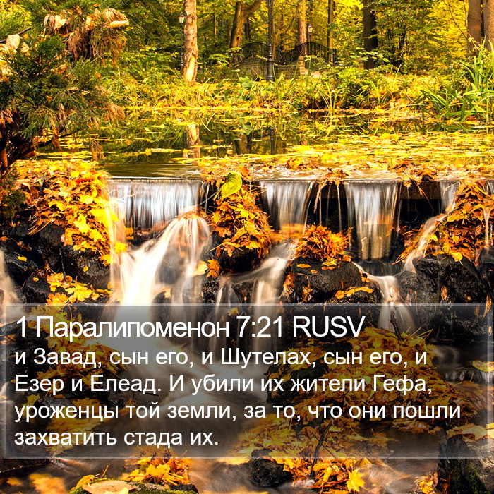 1 Паралипоменон 7:21 RUSV Bible Study