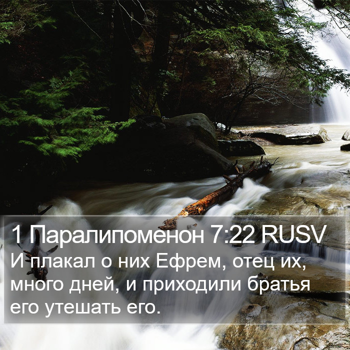 1 Паралипоменон 7:22 RUSV Bible Study