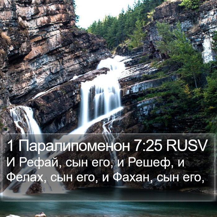 1 Паралипоменон 7:25 RUSV Bible Study