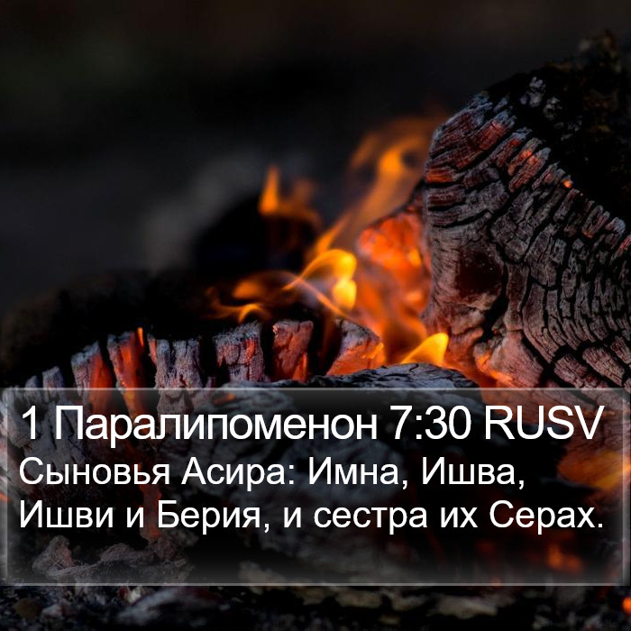 1 Паралипоменон 7:30 RUSV Bible Study