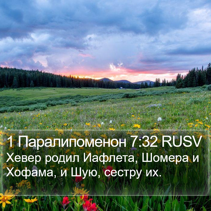 1 Паралипоменон 7:32 RUSV Bible Study