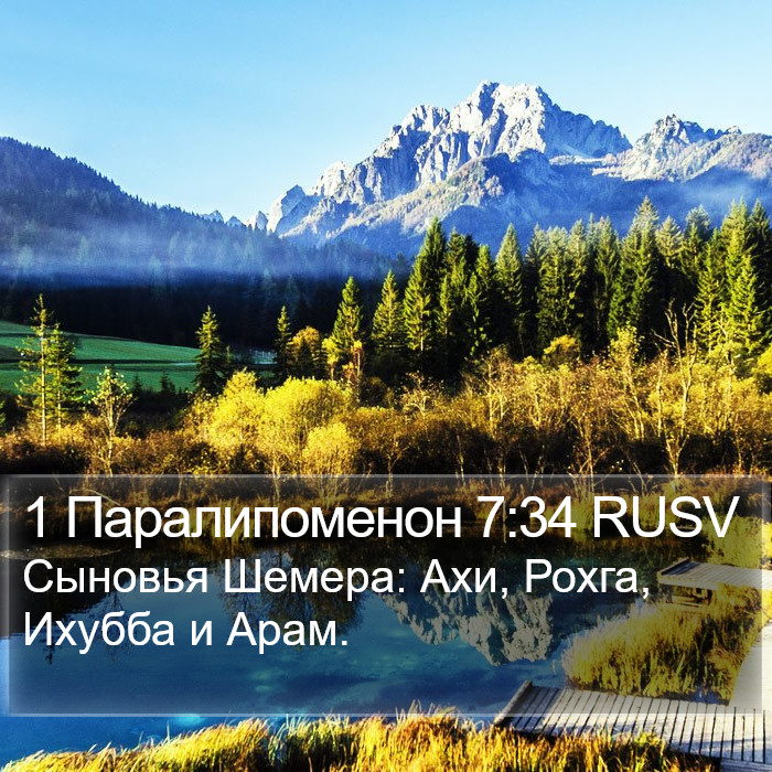 1 Паралипоменон 7:34 RUSV Bible Study