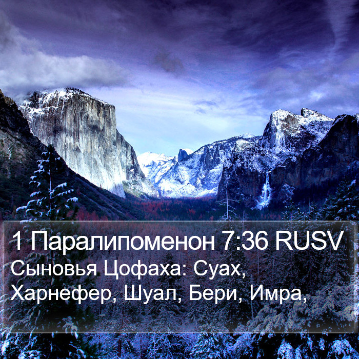 1 Паралипоменон 7:36 RUSV Bible Study