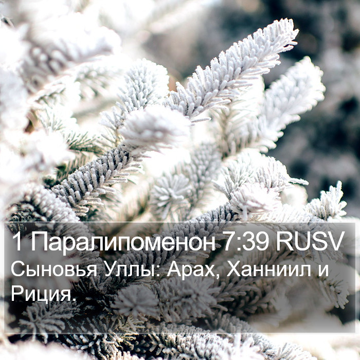 1 Паралипоменон 7:39 RUSV Bible Study