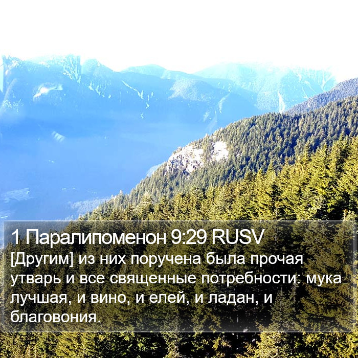 1 Паралипоменон 9:29 RUSV Bible Study