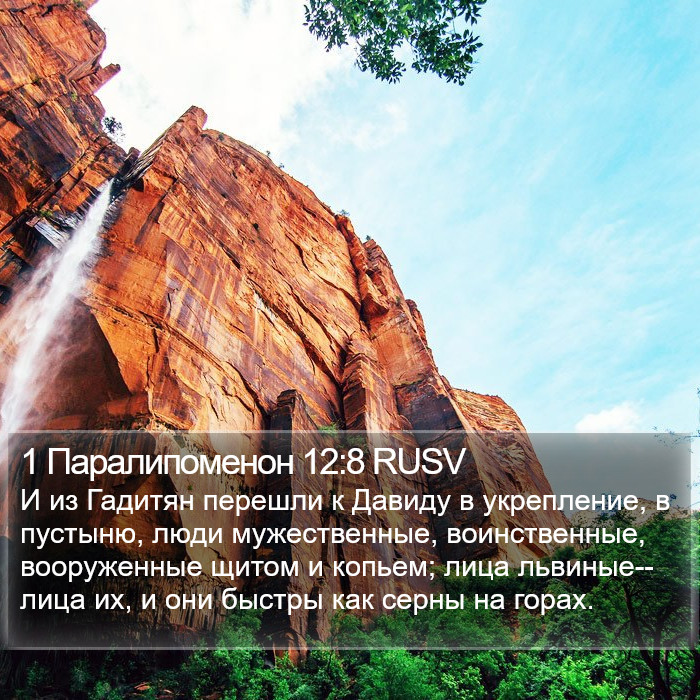 1 Паралипоменон 12:8 RUSV Bible Study