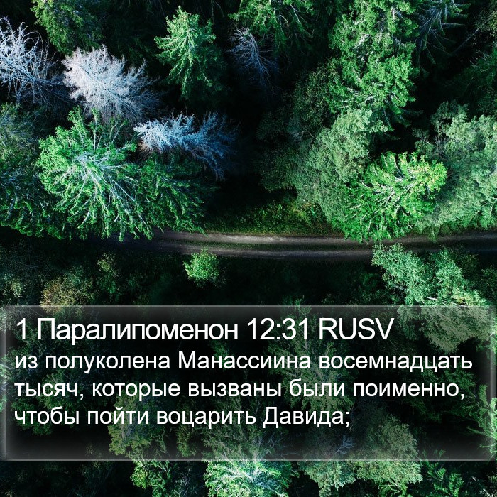 1 Паралипоменон 12:31 RUSV Bible Study