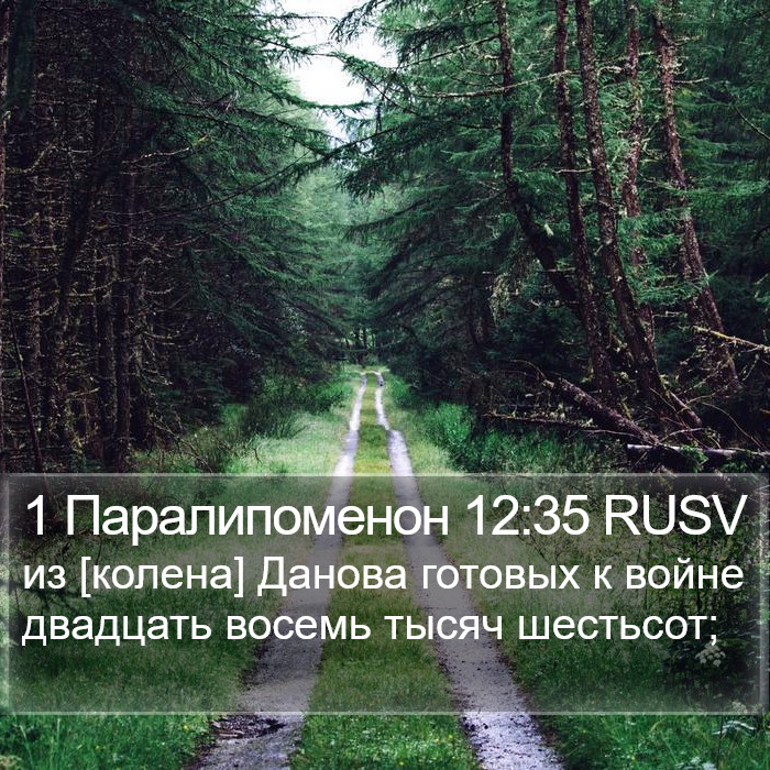 1 Паралипоменон 12:35 RUSV Bible Study