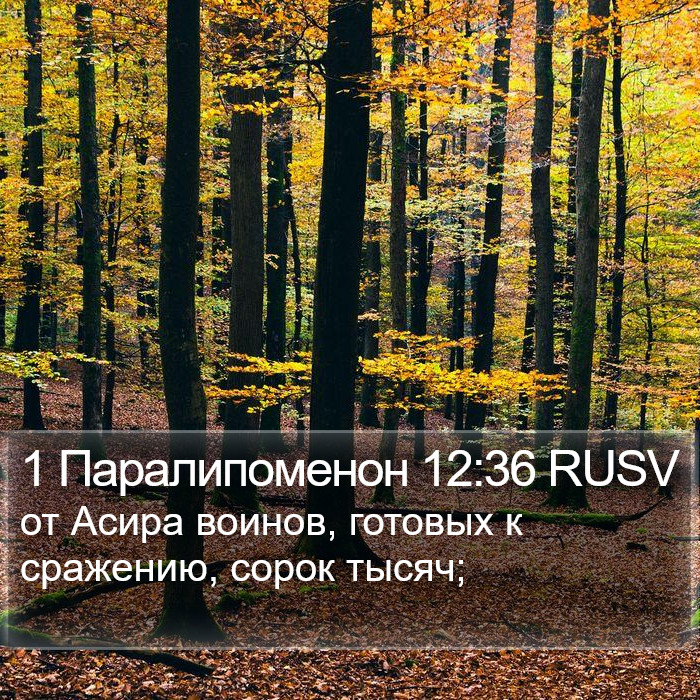 1 Паралипоменон 12:36 RUSV Bible Study